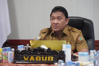 wagub kalteng edy pratowo